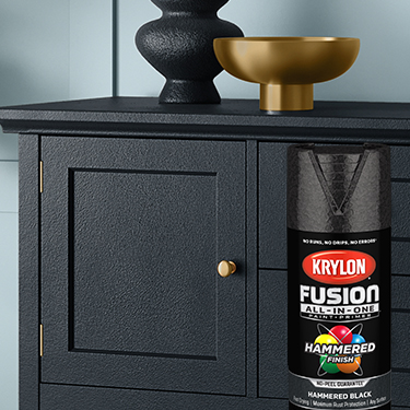 Krylon Fusion COTY 2025 Hammered Black can and painted furniture